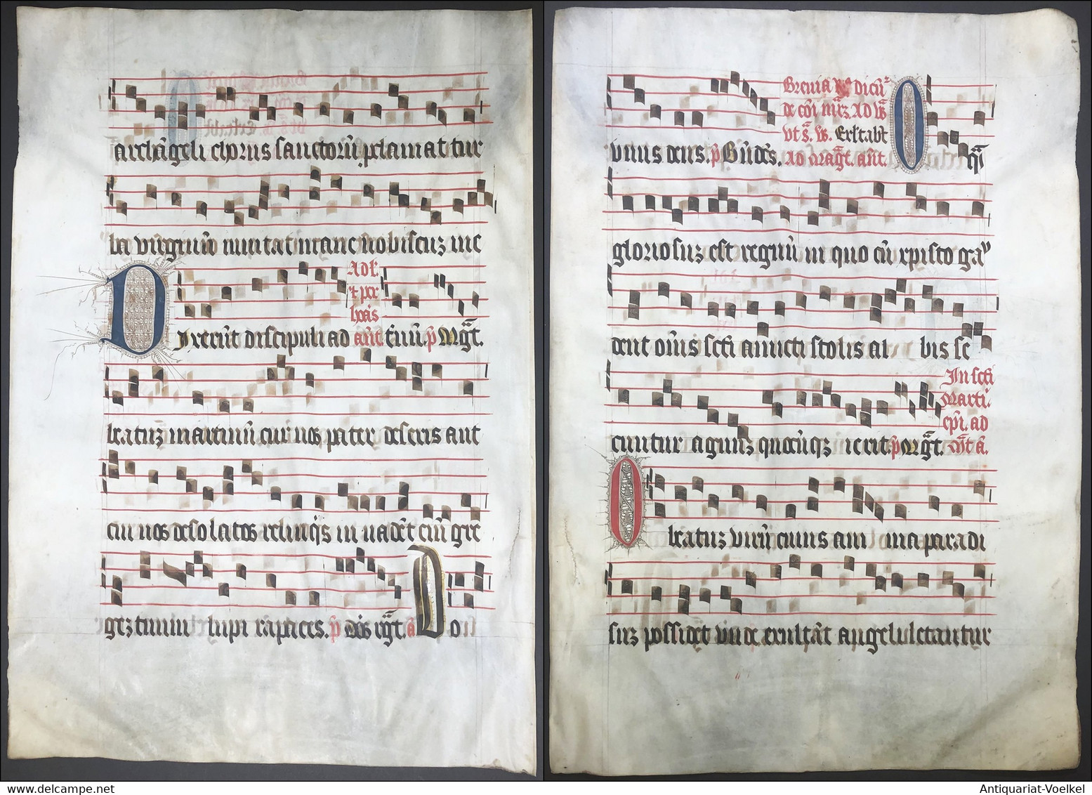 Very Rare Large Elephant Folio Vellum Sheet. Out Of An Antiphonary Manuscript From The 15th Century. / Seltene - Teatro & Script