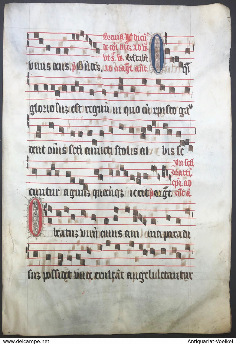 Very Rare Large Elephant Folio Vellum Sheet. Out Of An Antiphonary Manuscript From The 15th Century. / Seltene - Theater & Scripts