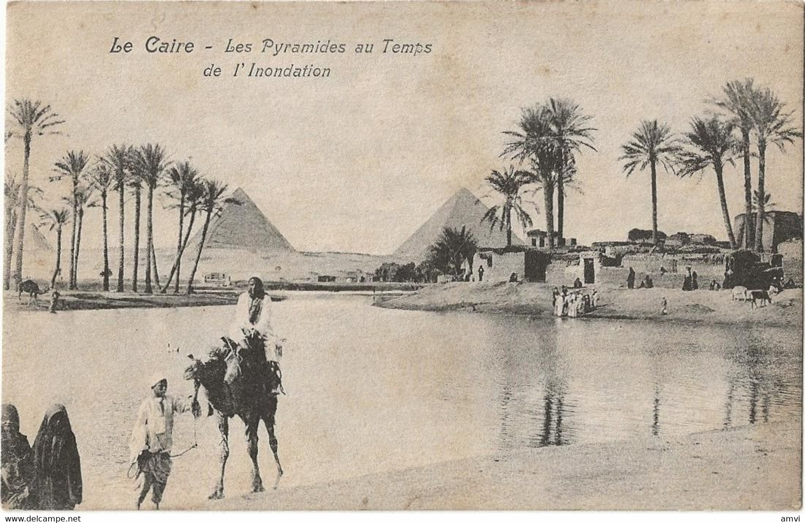 22-7-2050 LE CAIRE Les Pyramides Au Temps De L'inondation - Caïro