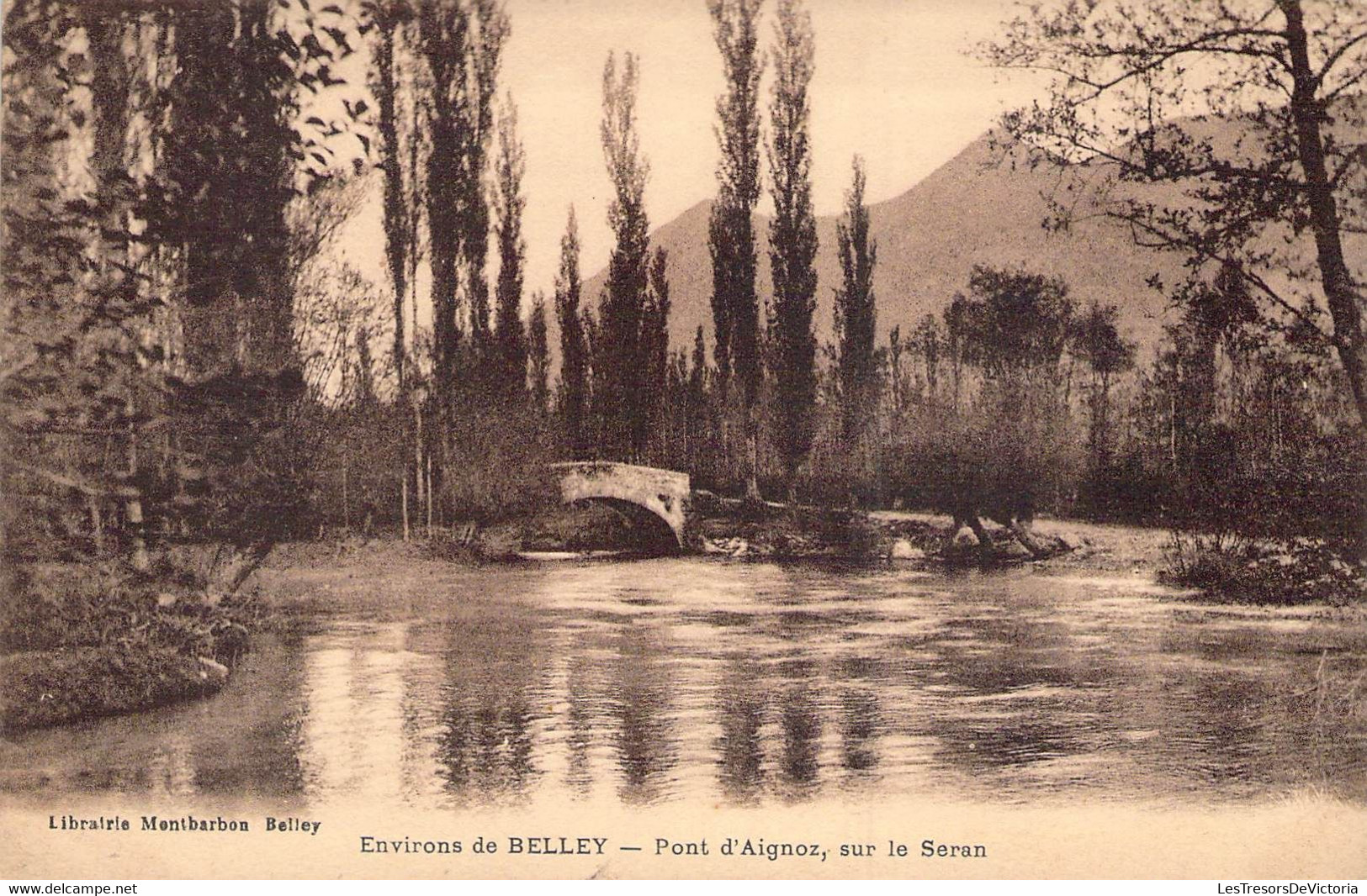 CPA - 01 - Environs De Belley - Pont D'Aignoz - Sur Le Séran - Belley