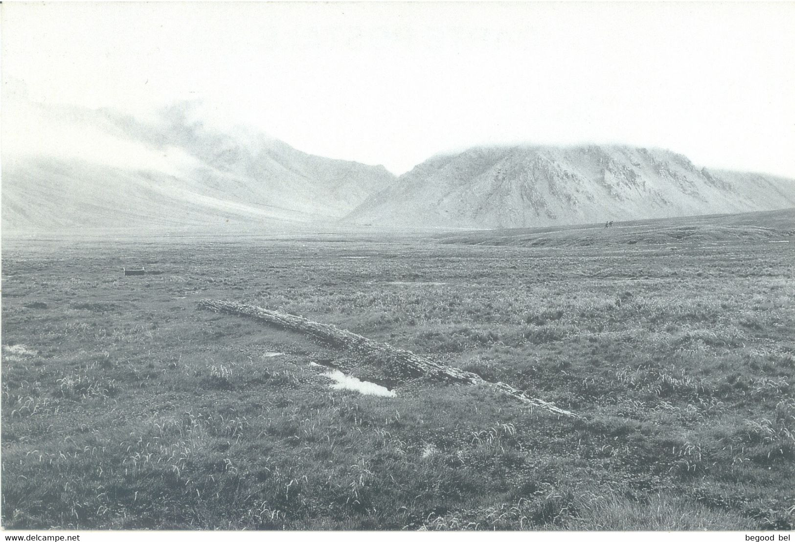 ILE DE L'EST ARCHIPEL CROZET MAT DE L'AVENTURE TAAF  - Lot 25119 - TAAF : Franz. Süd- Und Antarktisgebiete