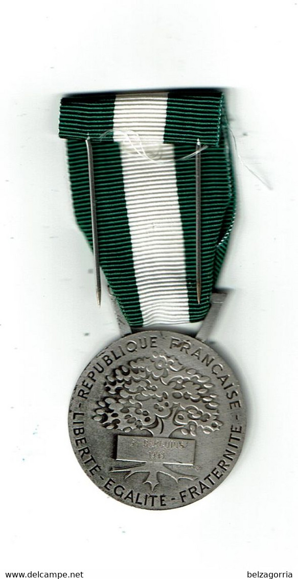 MEDAILLE HONNEUR  COMMUNALE - DEPARTEMENTALE - REGIONALE  Nominative 1993  Dégré Argent - Pas Courant - VOIR SCANS - Professionnels / De Société