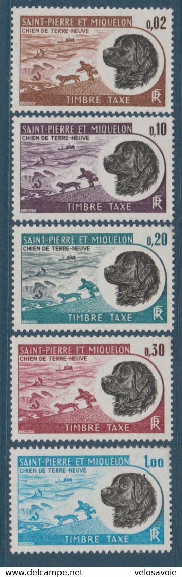 ST PIERRE TAXES N° 77/81 CHIENS ** - Timbres-taxe