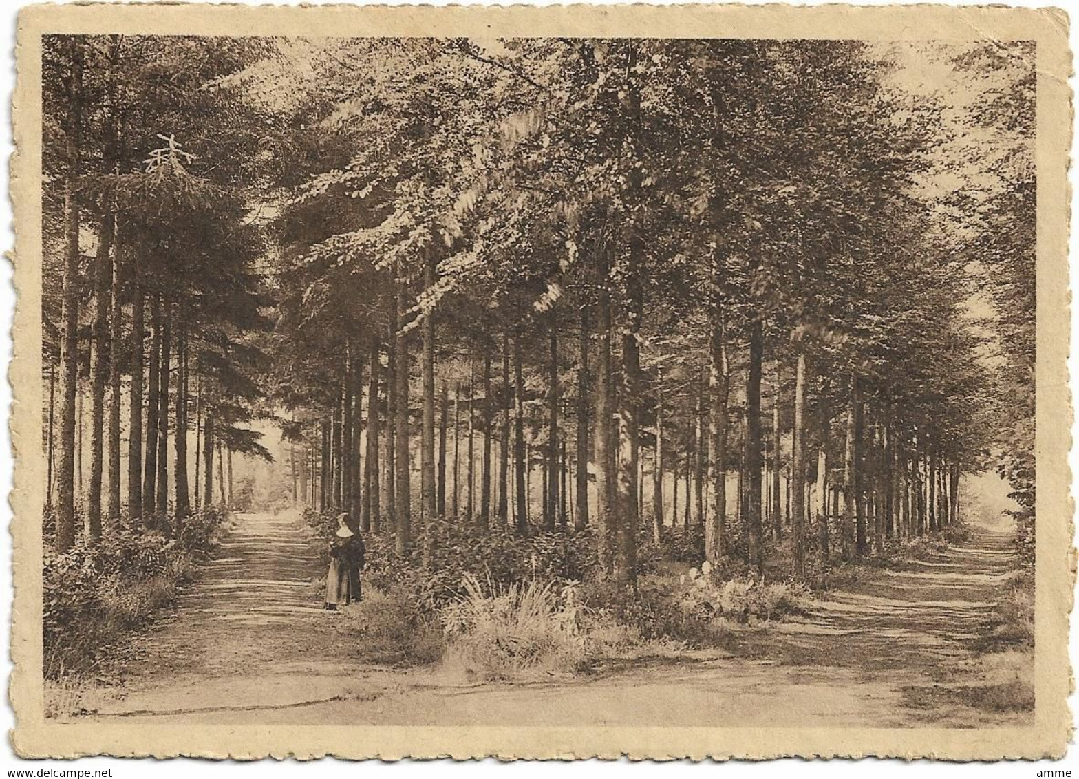 Loppem - Lophem *  Monastère N.D. De Béthanie - Les Allées Du Jardin -  Het Bosch (CPM) - Zedelgem