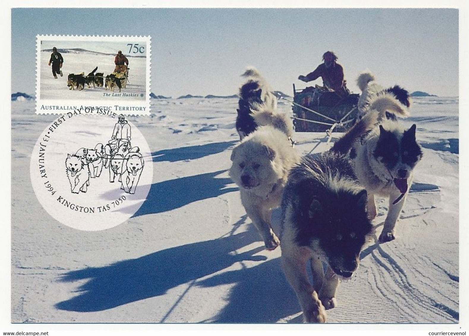 ANTARCTIQUE AUSTRALIEN - 4 Cartes Maximum CHIENS DE TRAINEAU - Kingston Tas - 13 Janvier 1994 - Cartes-maximum