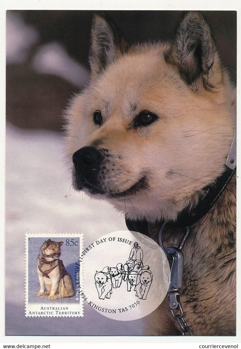 ANTARCTIQUE AUSTRALIEN - 4 Cartes Maximum CHIENS DE TRAINEAU - Kingston Tas - 13 Janvier 1994 - Maximum Cards