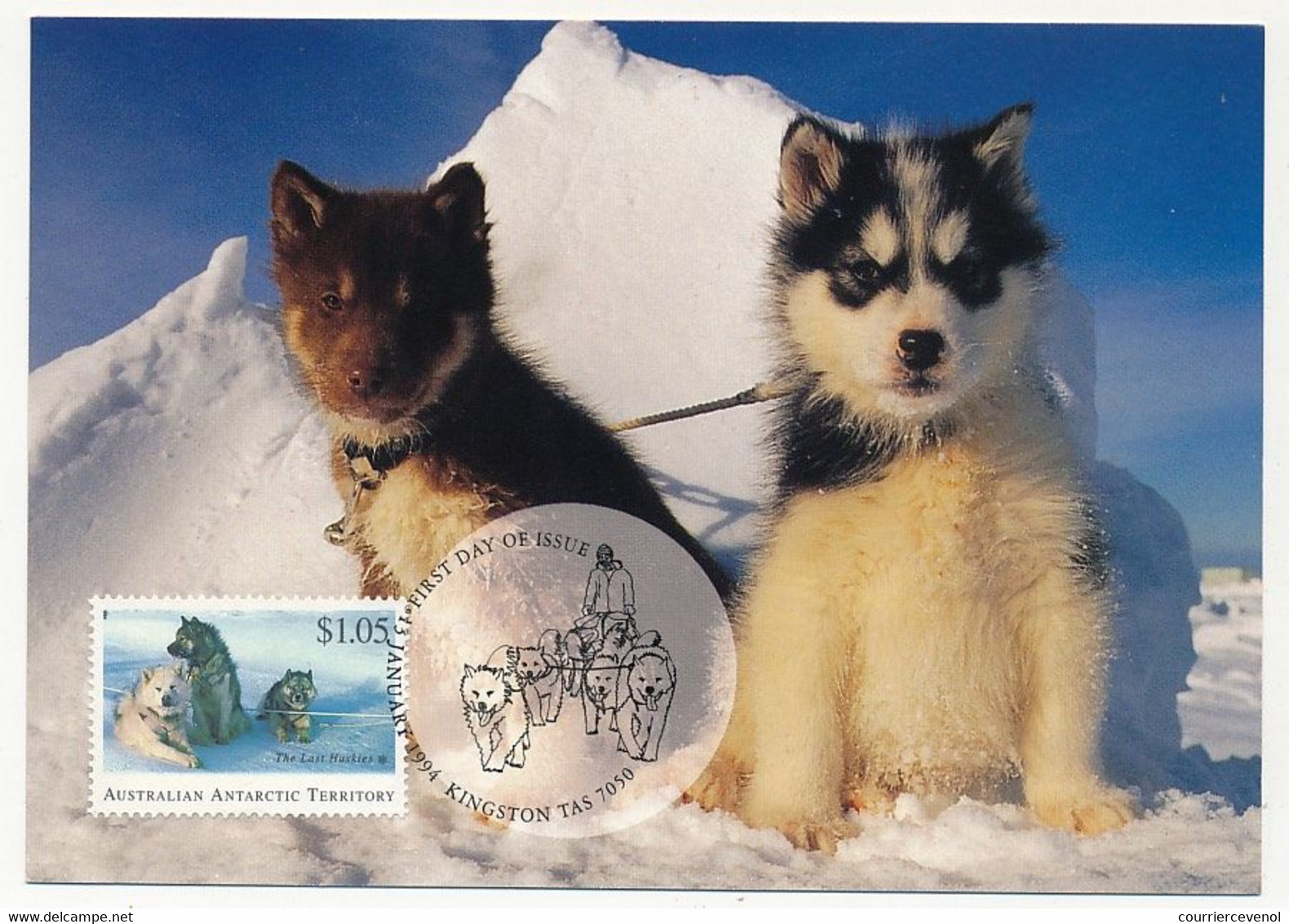 ANTARCTIQUE AUSTRALIEN - 4 Cartes Maximum CHIENS DE TRAINEAU - Kingston Tas - 13 Janvier 1994 - Maximum Cards