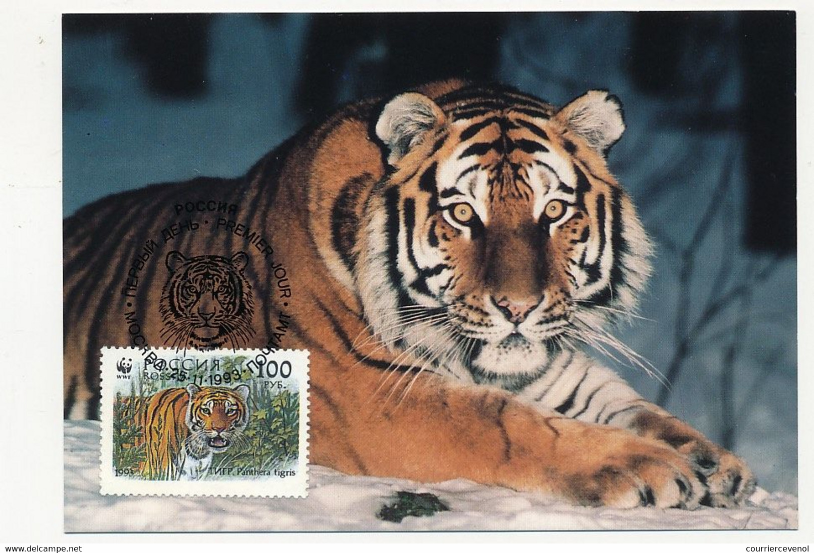 RUSSIE - 4 Cartes Maximum TIGRES DE SIBERIE - 26/11/1993 - Moscou - Maximumkaarten