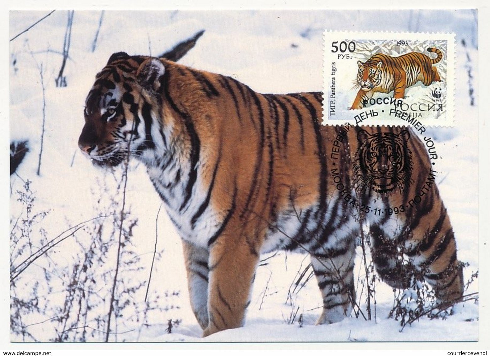 RUSSIE - 4 Cartes Maximum TIGRES DE SIBERIE - 26/11/1993 - Moscou - Maximumkarten