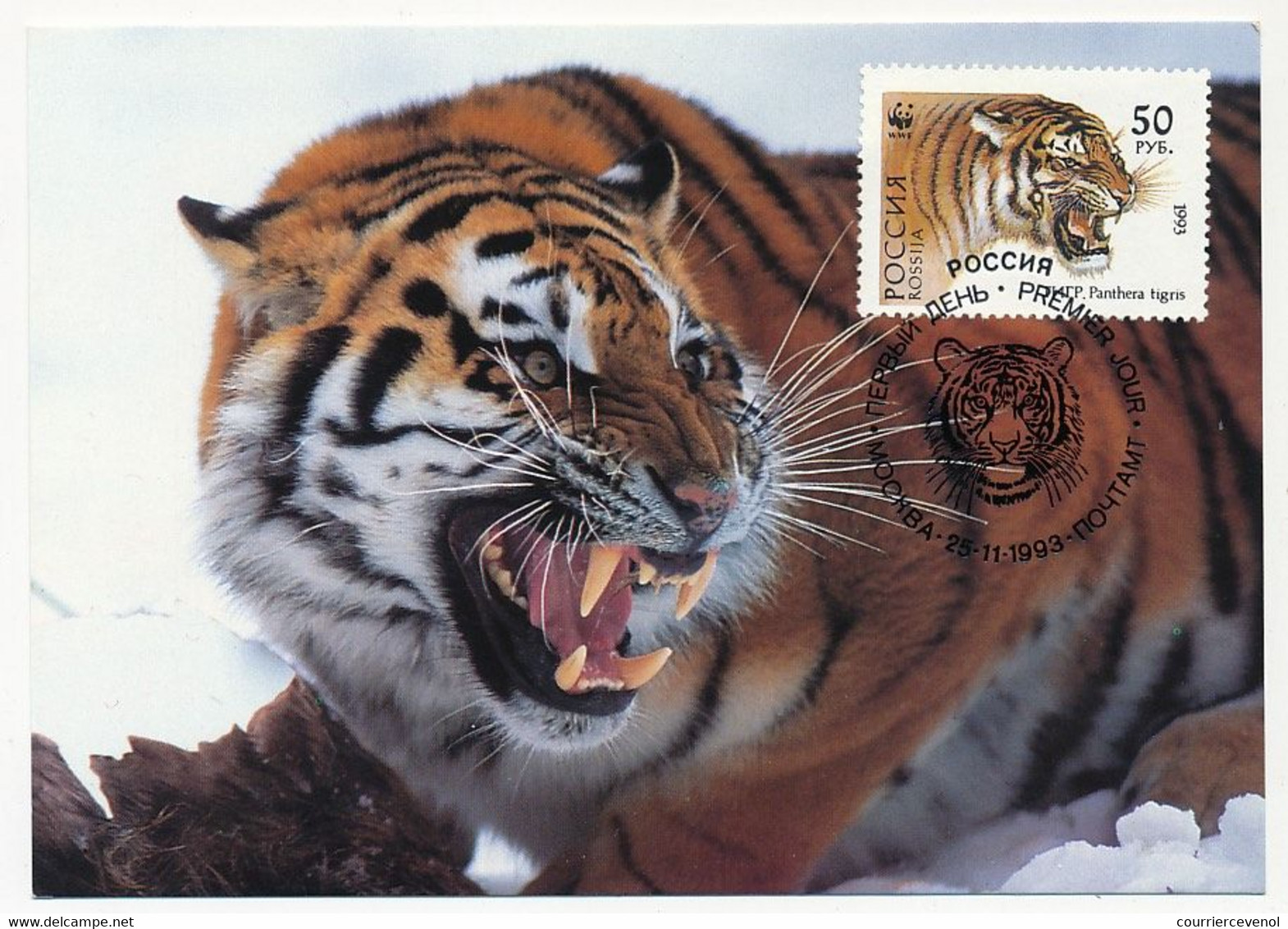 RUSSIE - 4 Cartes Maximum TIGRES DE SIBERIE - 26/11/1993 - Moscou - Cartes Maximum