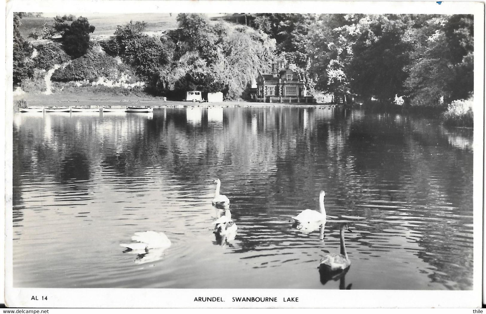 ARUNDEL - Swanbourne Lake - Arundel