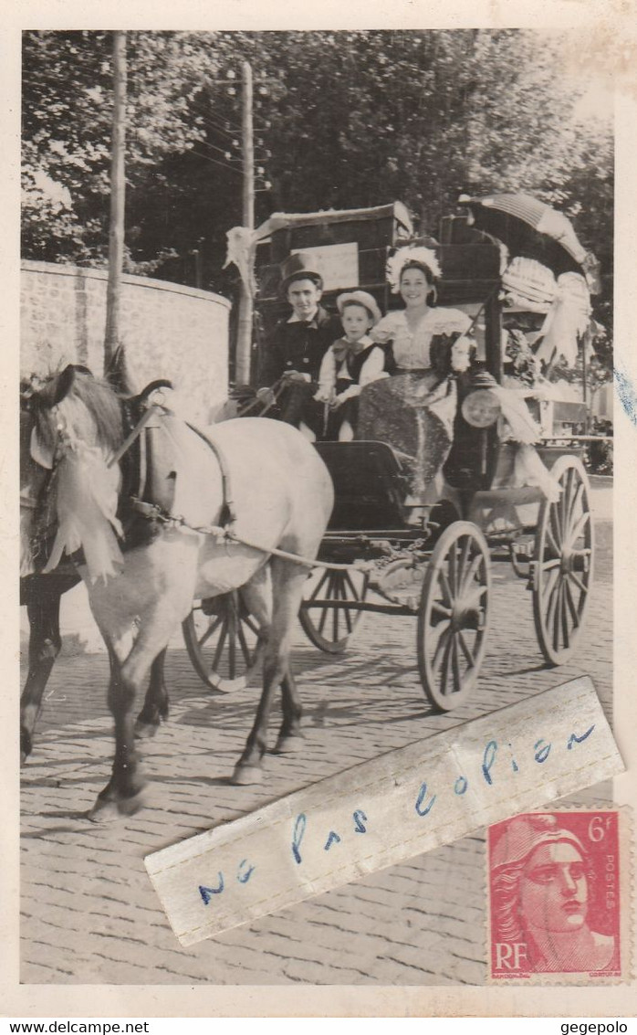 MARSEILLE - Un Bel Attelage Dans Une Rue De La Ville En 1948  ( Carte Photo ) - Non Classés