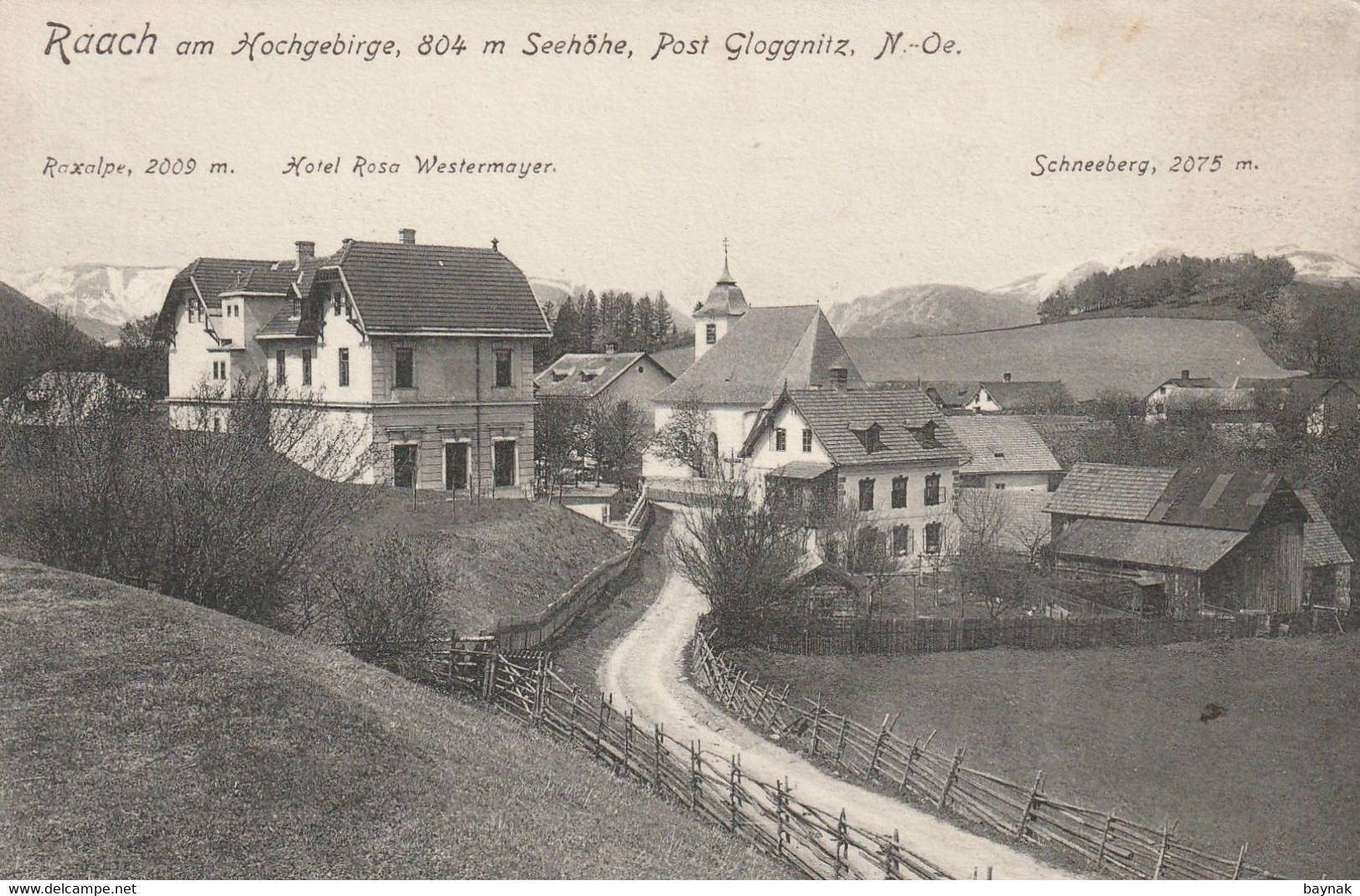 N.O.203  --  RAACH Am HOCHGEBIRGE    --  POST GLOGNITZ  --  HOTEL ROSA WESTERMAYER  --   1909 - Raxgebiet