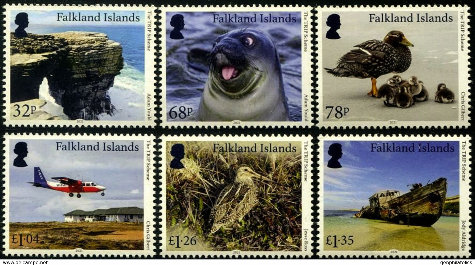 FALKLAND ISLANDS 2021 FAUNA Animals. Nature BIRDS SEAL - Fine Set MNH - Falkland Islands