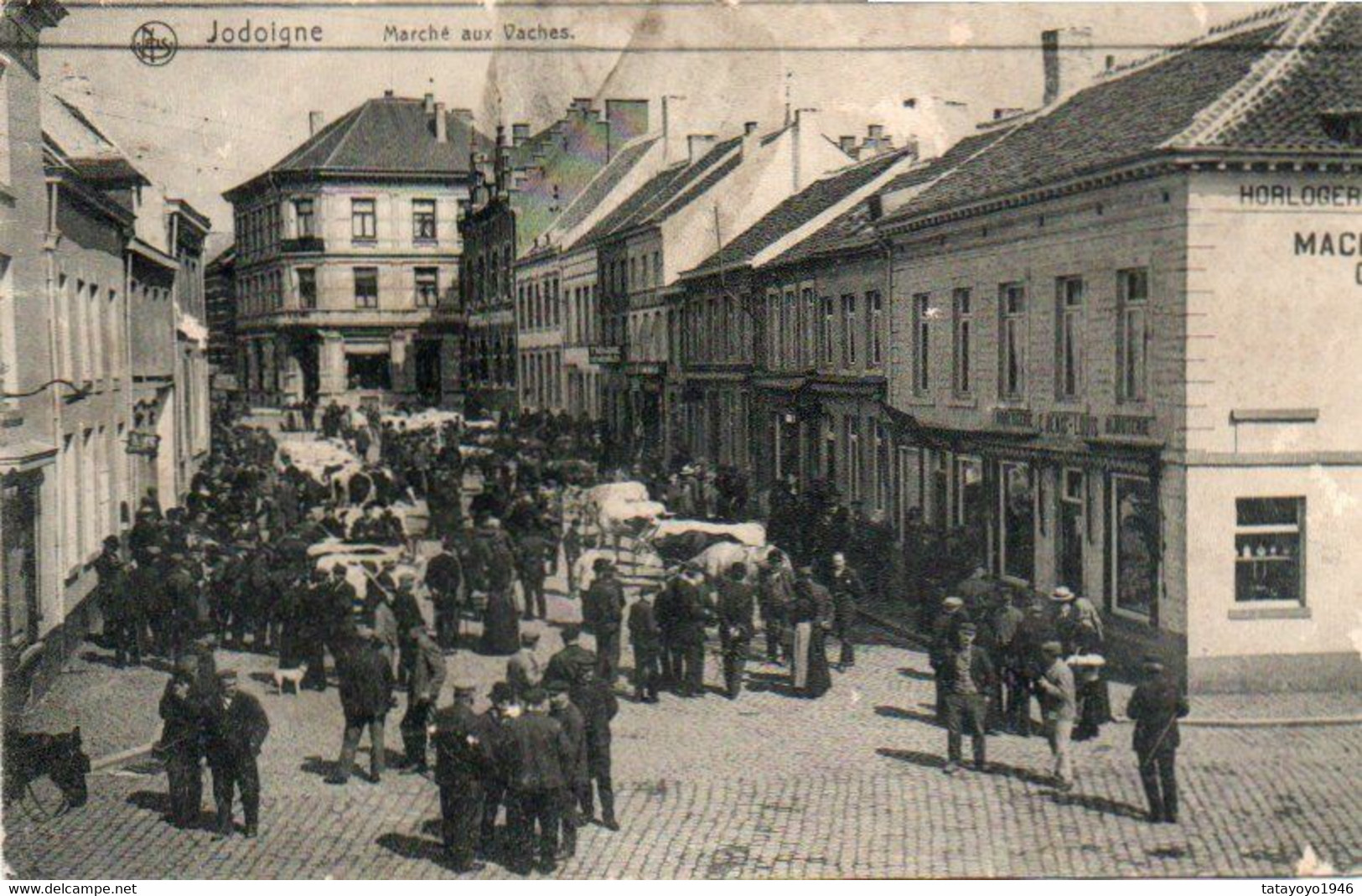 Jodoigne  Marché Aux Vaches Super Animée Voyagé En 1910 Mais Ne Possède Plus De Timbre - Jodoigne