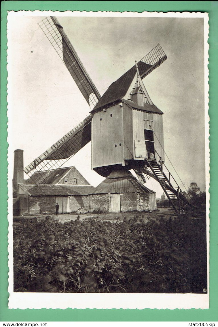 Foto Molen Druyts Zevendonk Bij Turnhout - Afgebroken 1930 - Turnhout