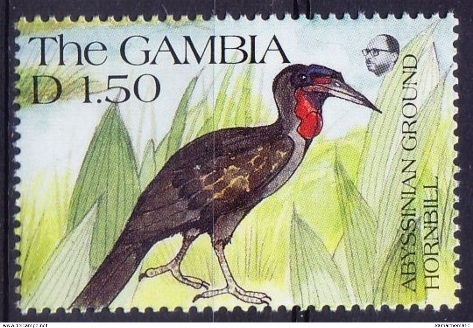 Gambia 1991 MNH, Birds, Abyssinian Ground Hornbill - Cuco, Cuclillos