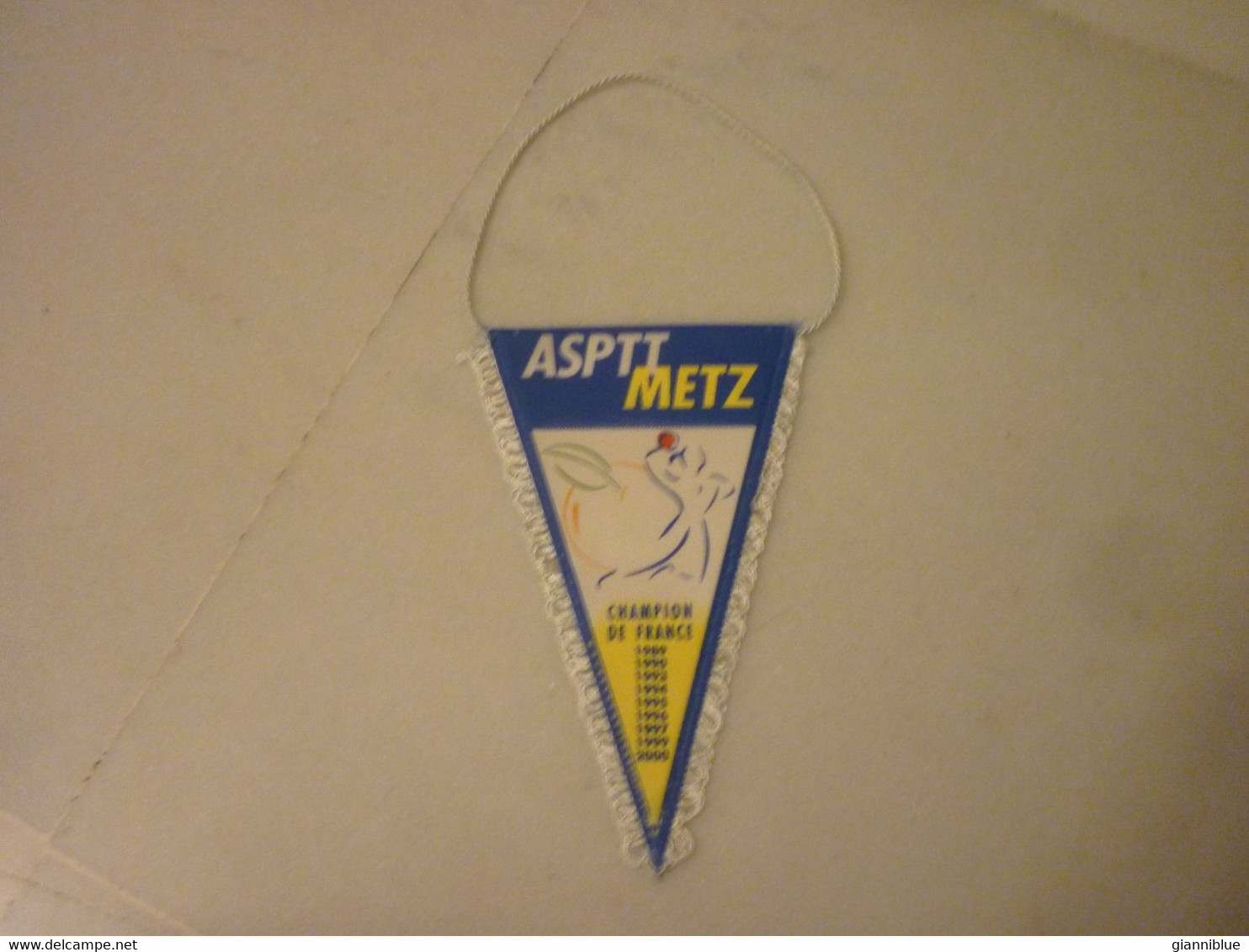 ASPTT Metz Handball France French Champion Team Captain Pennant - Balonmano