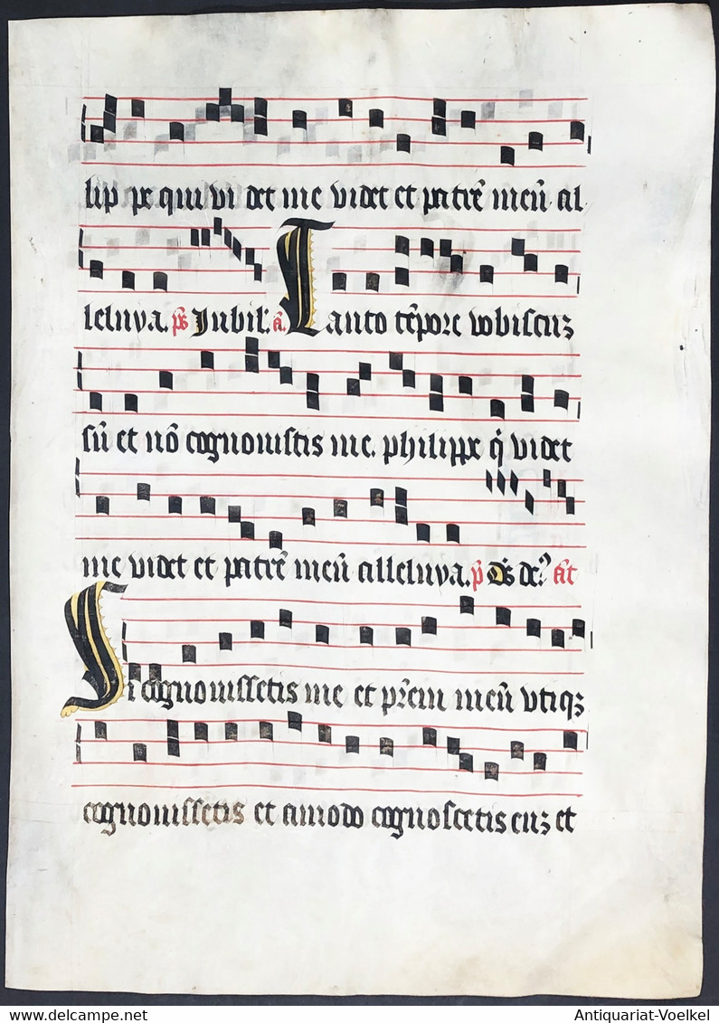 Very Rare Large Elephant Folio Vellum Sheet. Out Of An Antiphonary Manuscript From The 15th Century. / Seltene - Théâtre & Scripts