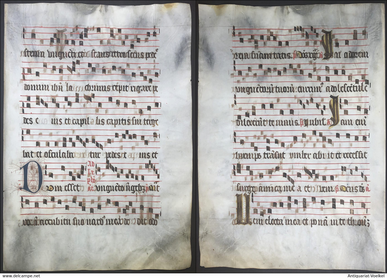 Very Rare Large Elephant Folio Vellum Sheet. Out Of An Antiphonary Manuscript From The 15th Century. / Seltene - Théâtre & Scripts