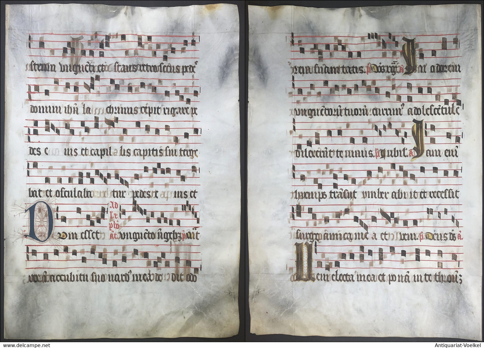 Very Rare Large Elephant Folio Vellum Sheet. Out Of An Antiphonary Manuscript From The 15th Century. / Seltene - Theatre & Scripts