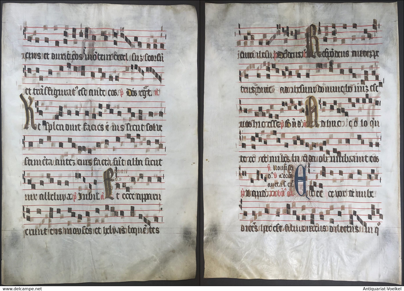 Very Rare Large Elephant Folio Vellum Sheet. Out Of An Antiphonary Manuscript From The 15th Century. / Seltene - Theater & Scripts