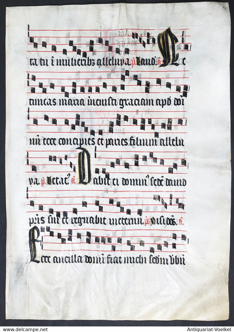 Very Rare Large Elephant Folio Vellum Sheet. Out Of An Antiphonary Manuscript From The 15th Century. / Seltene - Théâtre & Scripts