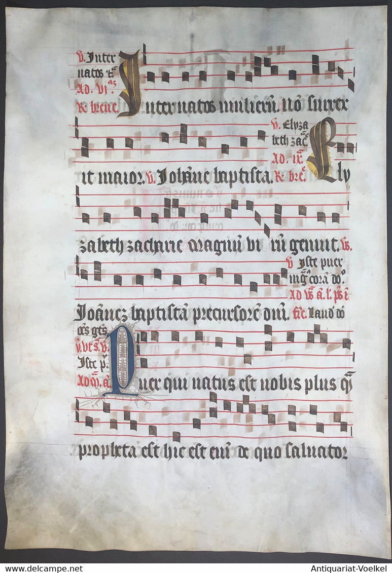 Very Rare Large Elephant Folio Vellum Sheet. Out Of An Antiphonary Manuscript From The 15th Century. / Seltene - Théâtre & Scripts