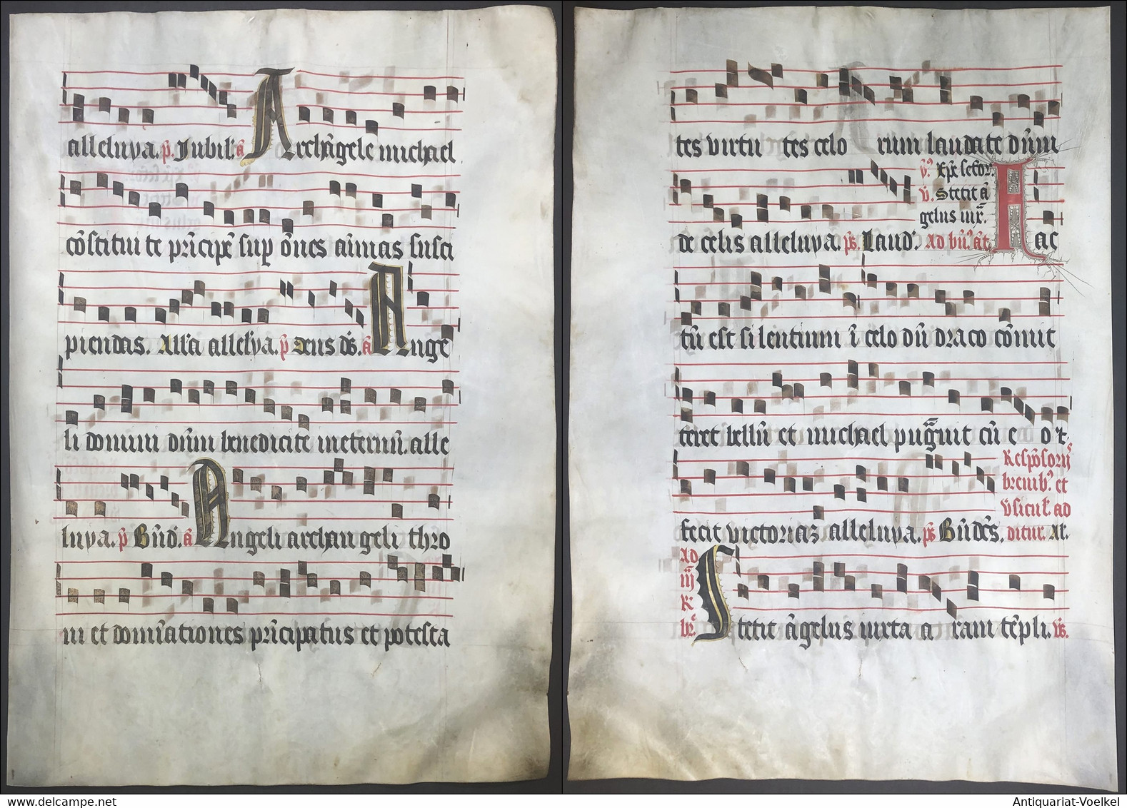 Very Rare Large Elephant Folio Vellum Sheet. Out Of An Antiphonary Manuscript From The 15th Century. / Seltene - Teatro & Sceneggiatura