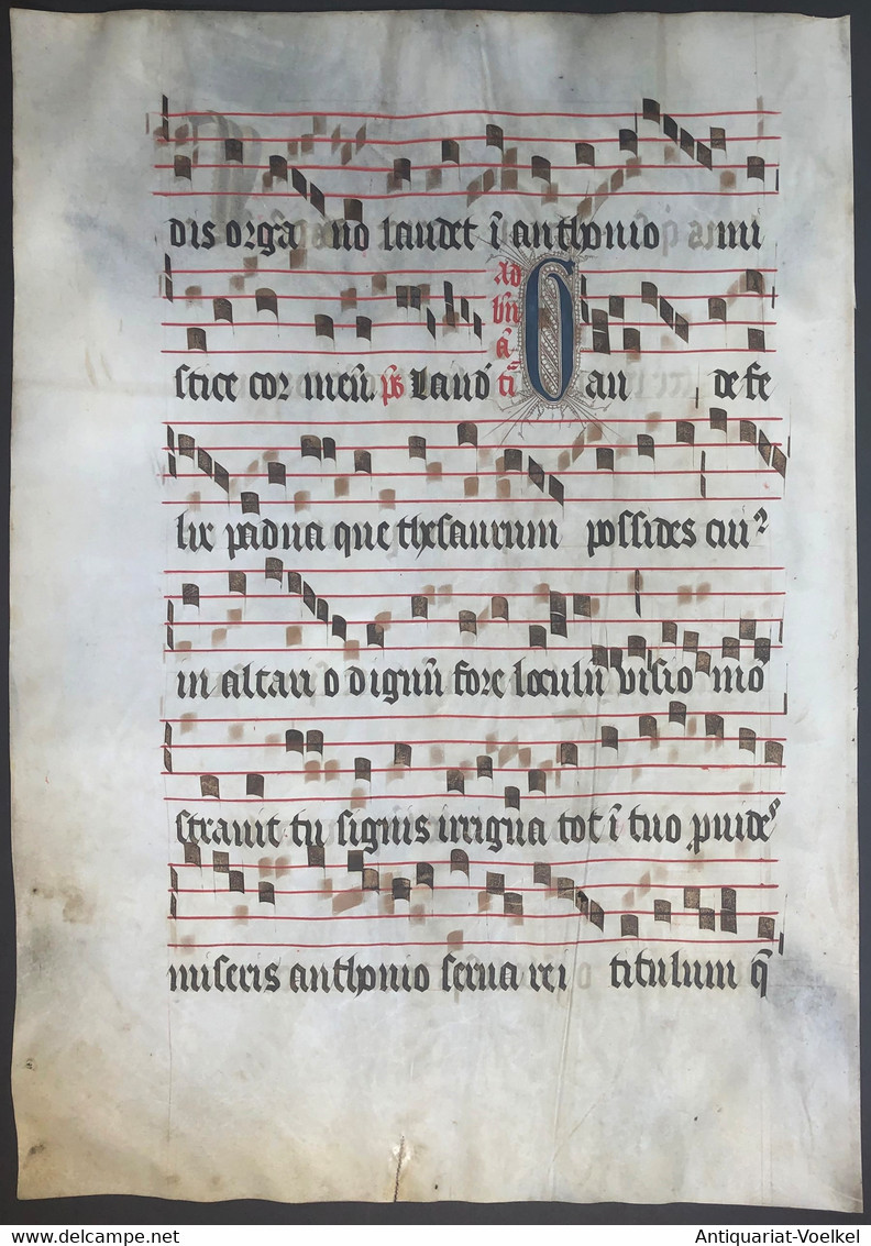 Very Rare Large Elephant Folio Vellum Sheet. Out Of An Antiphonary Manuscript From The 15th Century. / Seltene - Théâtre & Scripts