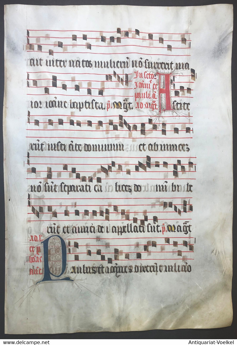 Very Rare Large Elephant Folio Vellum Sheet. Out Of An Antiphonary Manuscript From The 15th Century. / Seltene - Théâtre & Scripts