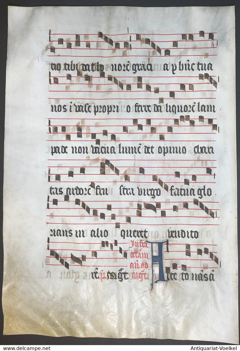 Very Rare Large Elephant Folio Vellum Sheet. Out Of An Antiphonary Manuscript From The 15th Century. / Seltene - Théâtre & Scripts