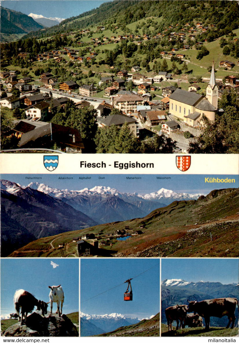 Fiesch - Eggishorn - 5 Bilder (43609) * 31. 7. 1980 - Fiesch