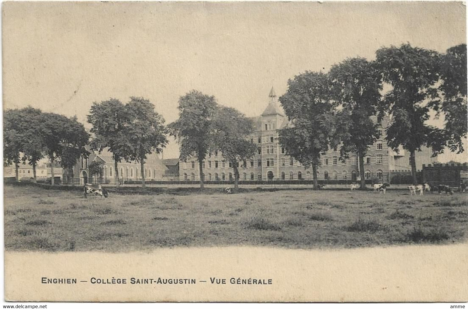 Enghien   *  Collège Saint-Augustin - Vue Générale - Enghien - Edingen