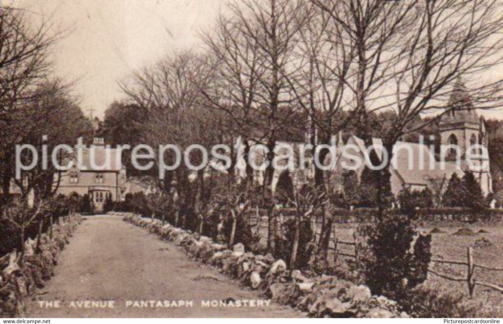 THE AVENUE PANTASAPH MONASTERY OLD B/W POSTCARD WALES - Flintshire