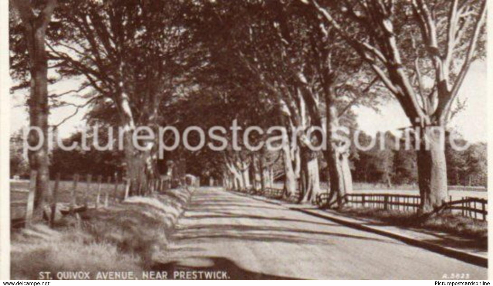 ST QUIVOX AVENUE NEAR PRESTWICK OLD B/W POSTCARD SCOTLAND - Ayrshire