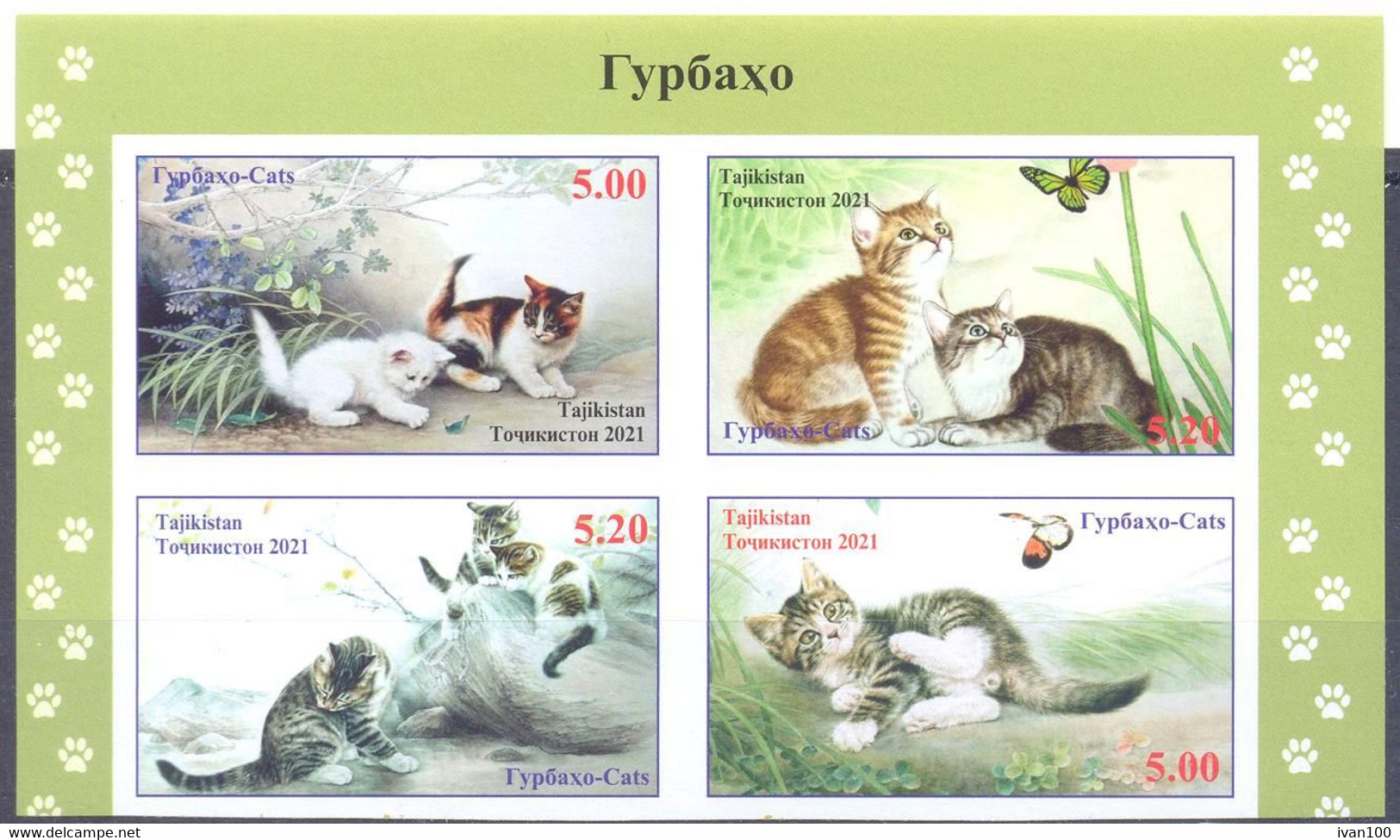 2021. Tajikistan, Cats, 4v Imperforated, Mint/** - Tajikistan
