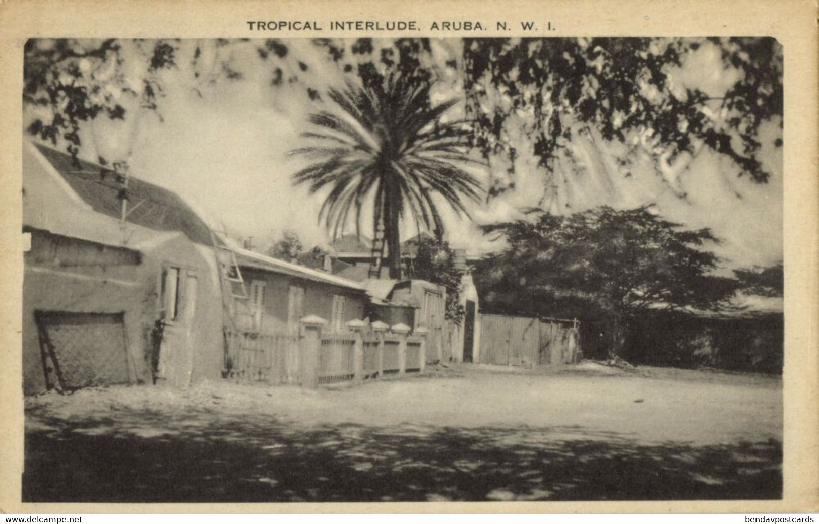 Aruba, N.W.I., Tropical Interlude (1940s) Postcard - Aruba