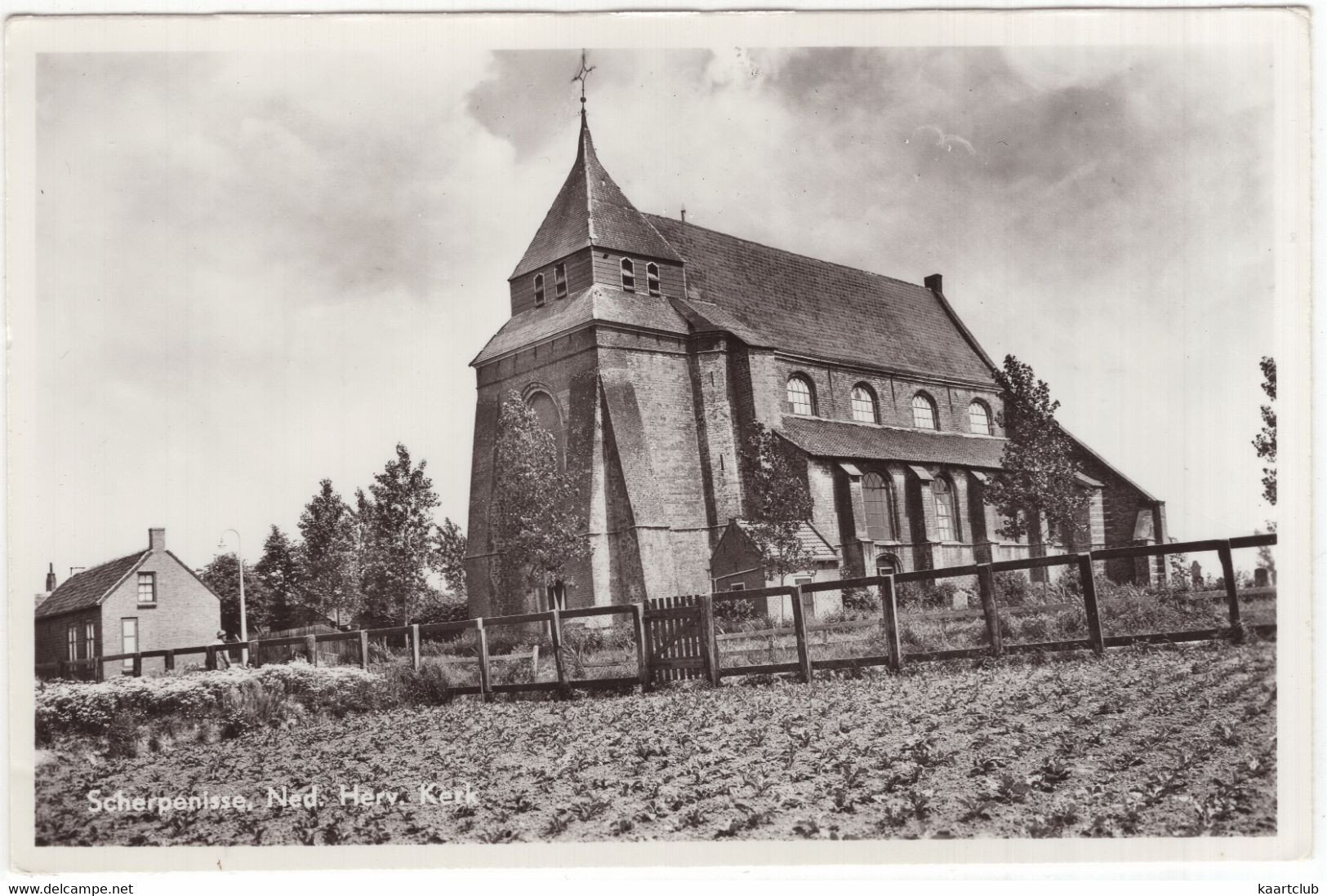 Scherpenisse. Ned. Herv. Kerk - (Tholen, Zeeland, Nederland) - Tholen