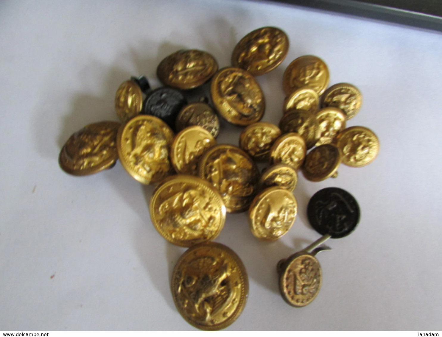 40 Various Marine Corp Buttons - Bottoni