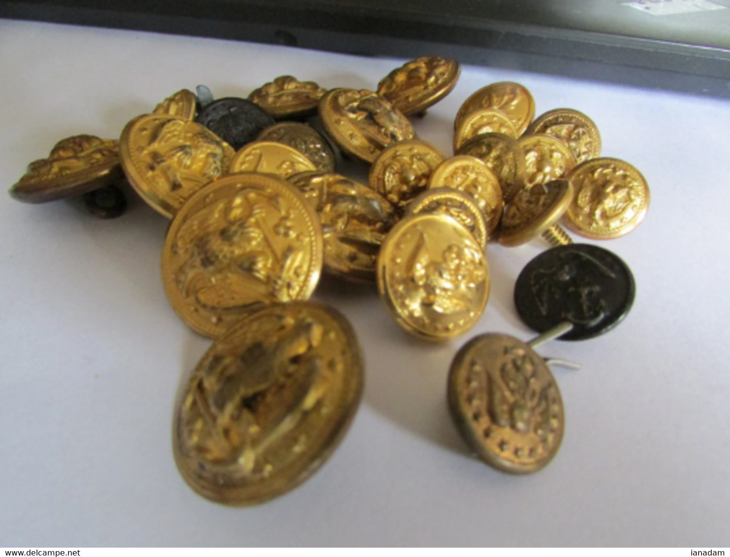 40 Various Marine Corp Buttons - Knoppen