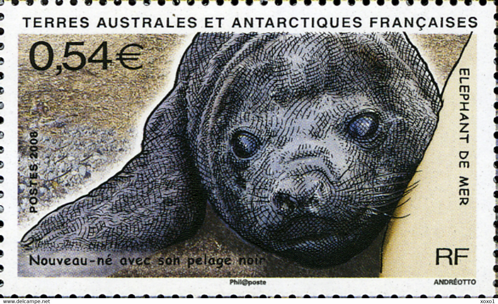 TAAF 2008  MiNr. 660 - 663(Block 19) Fr. Antarktis Marine Mammals Southern Elephant Seal S/sh MNH**  5.00 € - Fauna Antartica