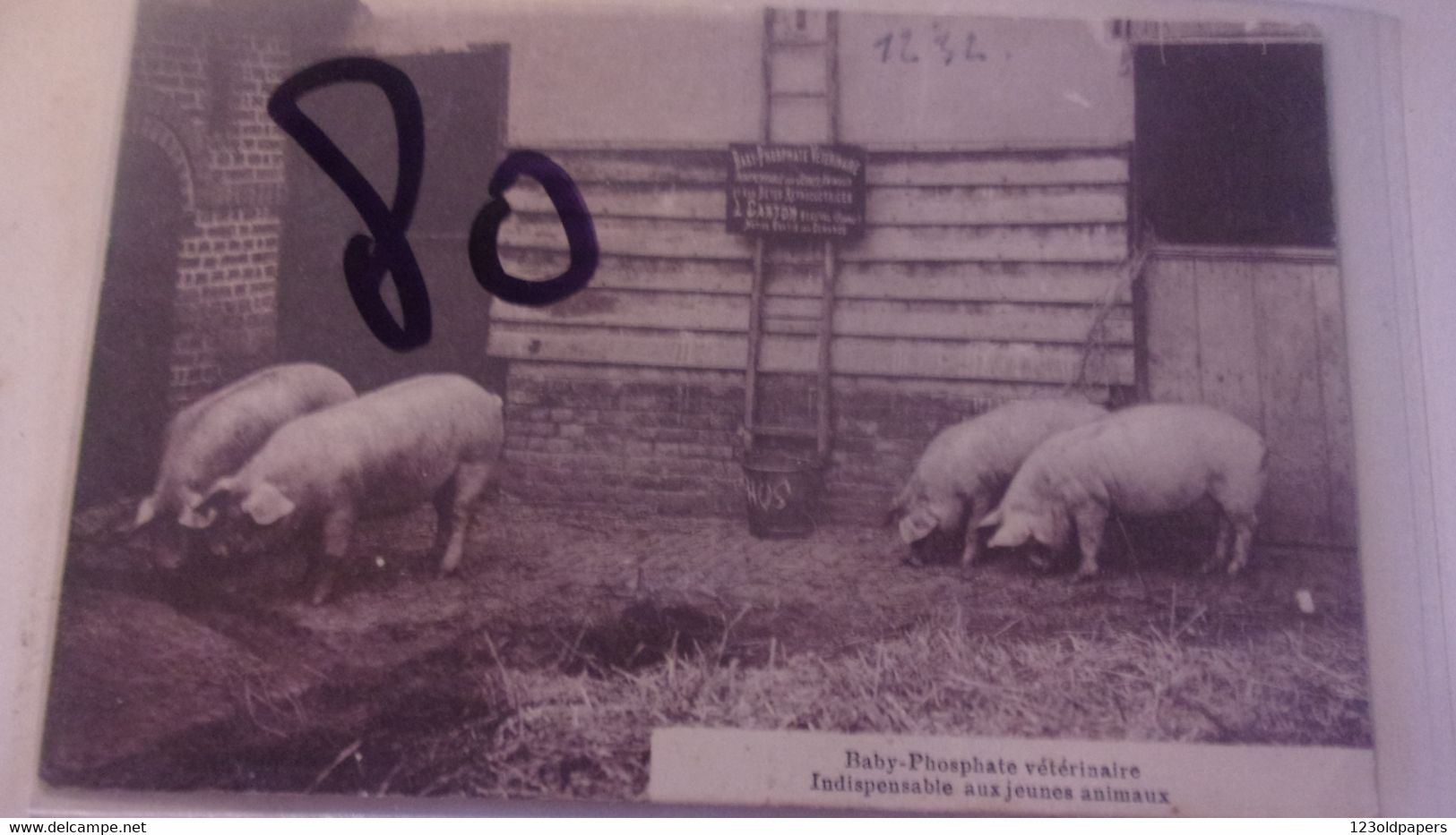 80 BEAUVAL  L CARTON PHOSPHATE VETERINAIRE  COCHONS PORC - Beauval