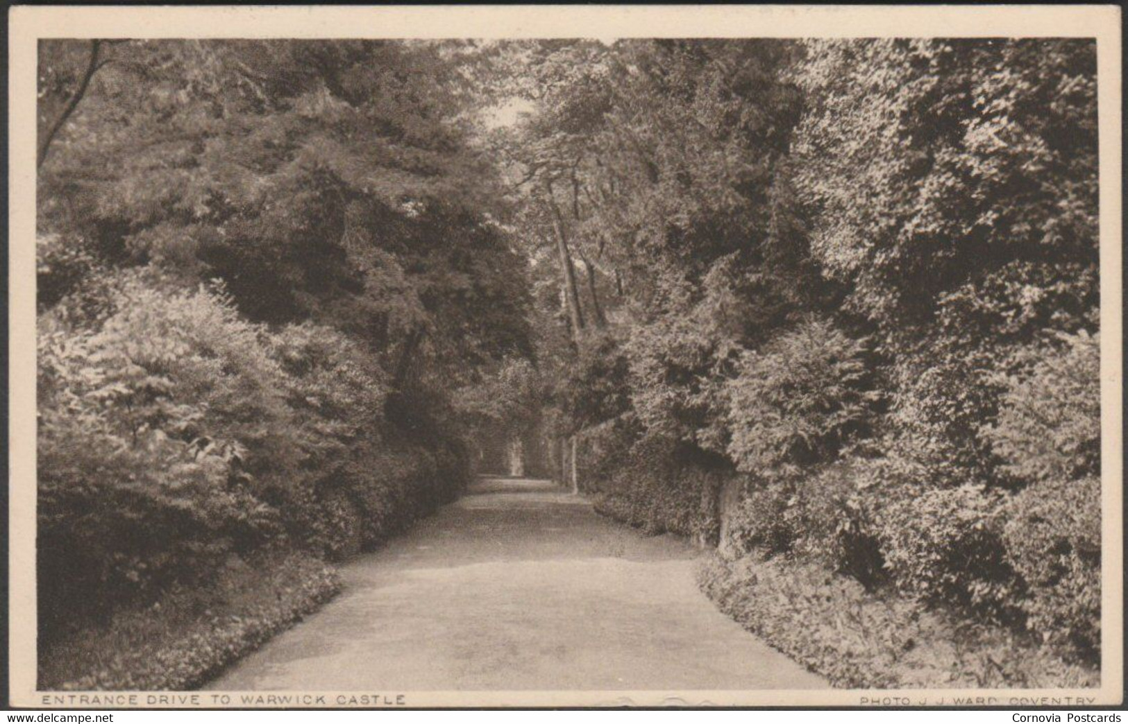 Entrance Drive To Warwick Castle, C.1940s - JJ Ward Postcard - Warwick
