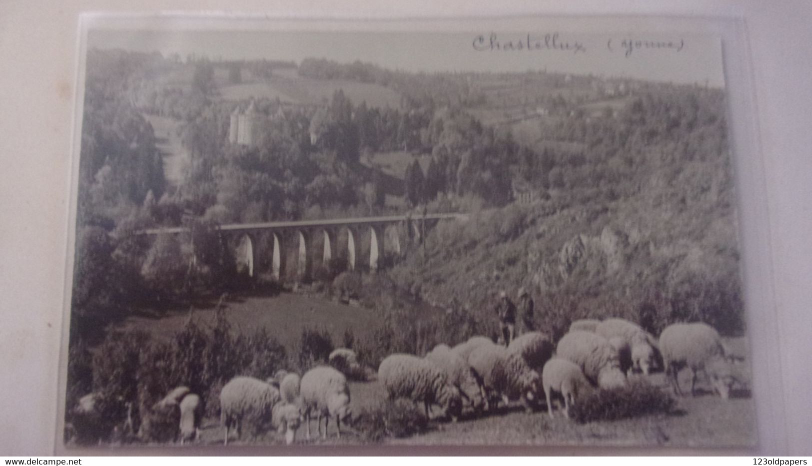 89 Carte Photo CHASTELLUX YONNE CHATEAU PONT MOUTONS TROUPEAU  BERGERS - Other & Unclassified