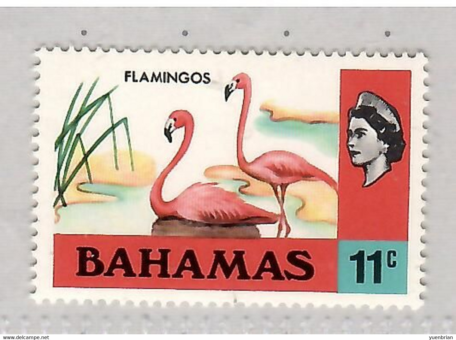 Bahamas 1971, Bird, Birds, Definitive, 1v, MNH** - Flamingos