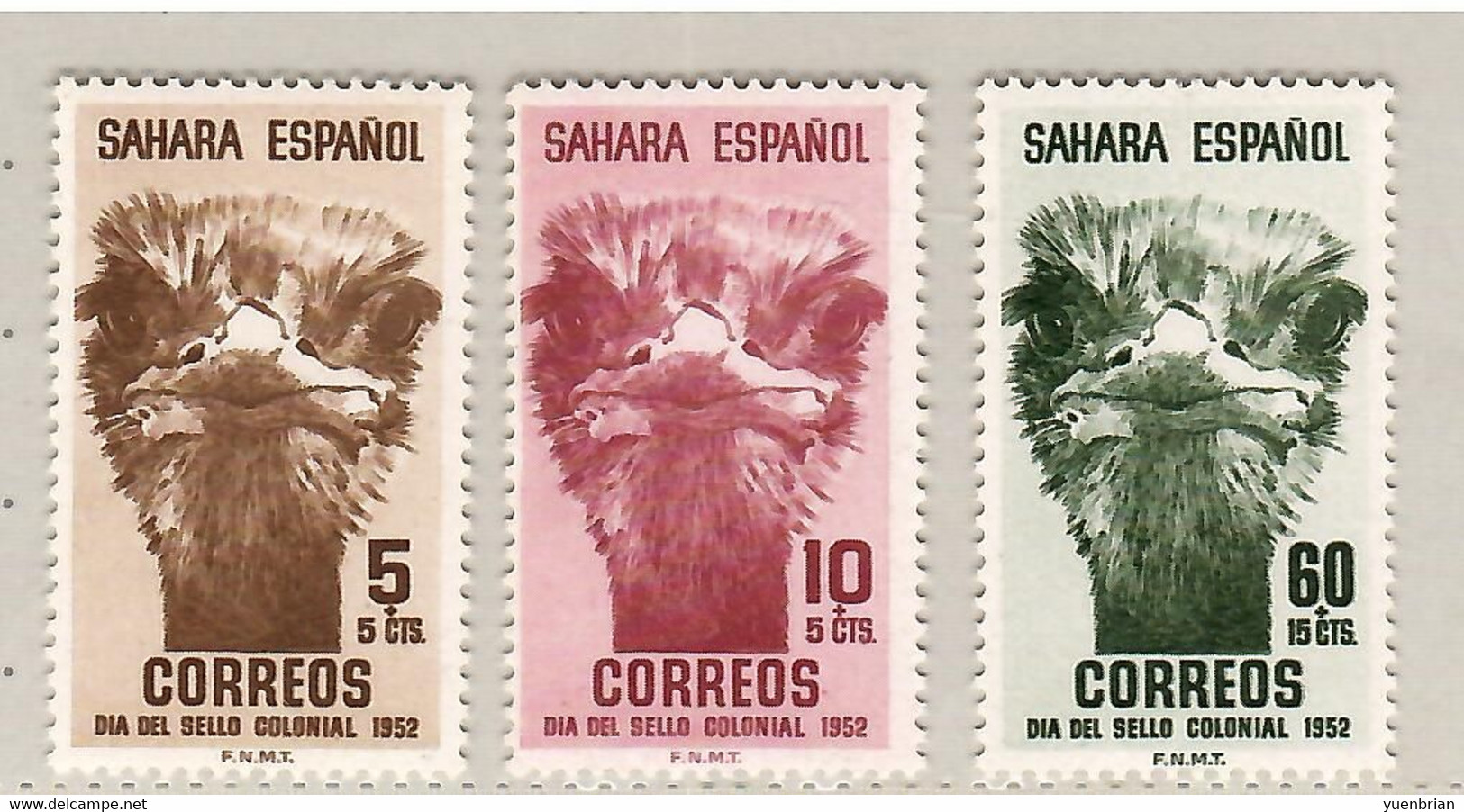 Spanish Sahara 1952, Bird, Birds, Set Of 3v, MNH** - Ostriches