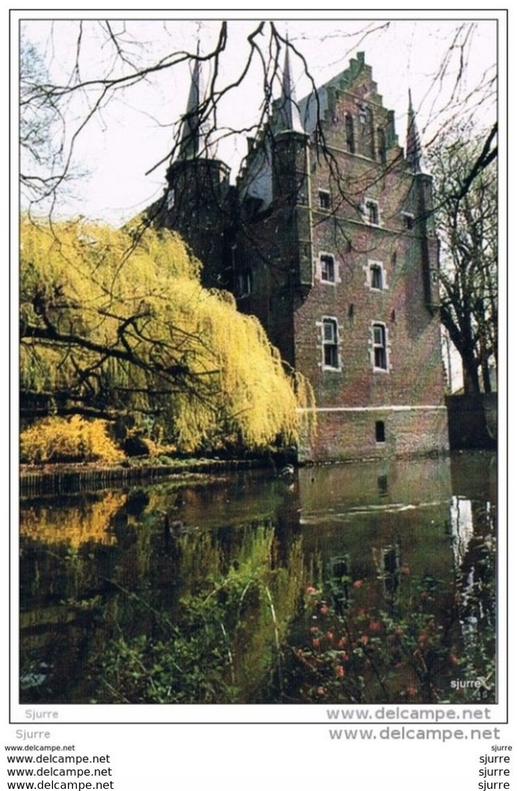 GEMERT - Kasteel - Château - Gemert