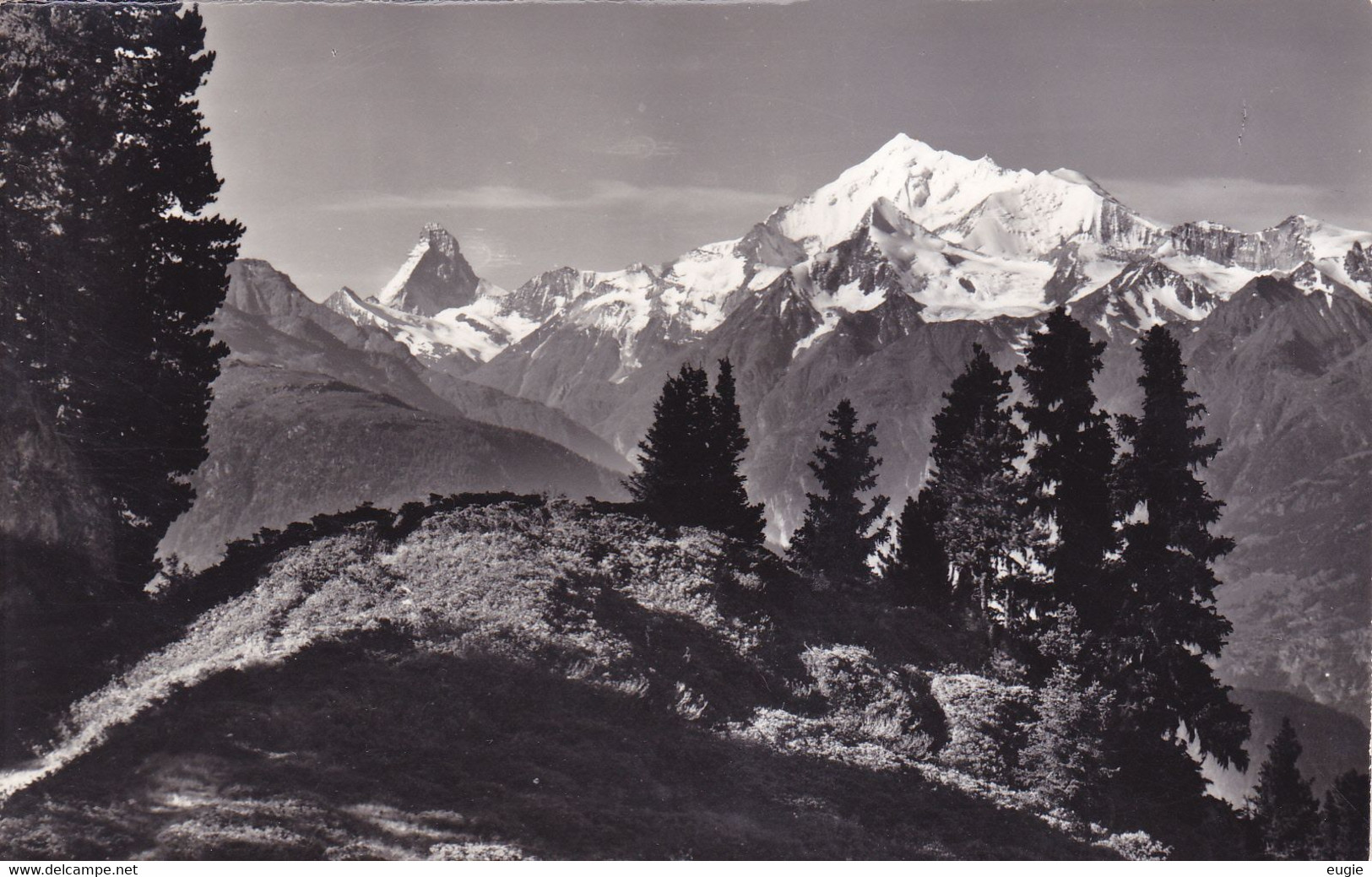1235/ Riederalp, Aletschgebiet, Riederhorn Matterhorn Und Weisshorn - Riederalp