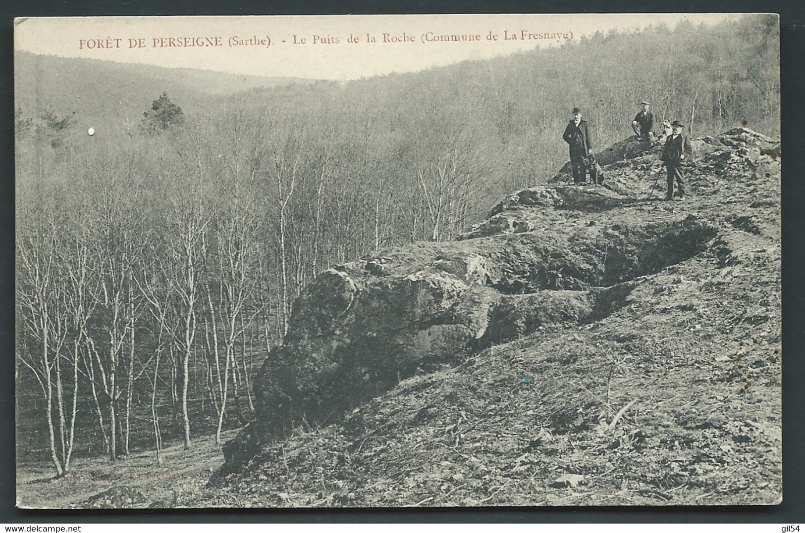 Forêt De Perseigne ( Sarthe ) Le Puits De La Roche ( Commune De Fresnaye) -     Bcc 218 - La Fresnaye Sur Chédouet